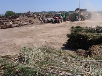 Tasques de conversió de residus forestals en biomassa, en una empresa de Cassà. O.M