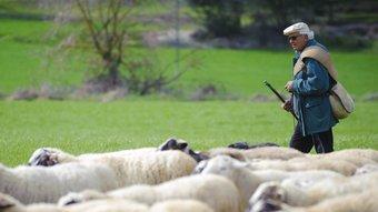 L'objectiu de la ruta ramadera és recuperar les vies de transhumància dels pastors de l'edat mitjana.  IÑAKI RELANZÓN