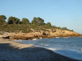 La platja de Santes Creus a l'Ametlla és una de les que ha aconseguit el distintiu. EL PUNT