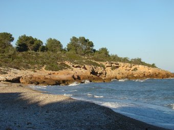 La platja de Santes Creus , a l'Ametlla de Mar, és una de les platges verges. EL PUNT