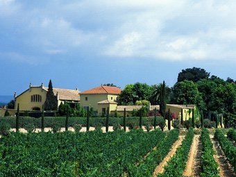 Una vista del Mas la Plana, propietat de Bodegues Torres.