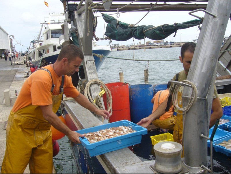 Uns pescadors descarreguen les caixes de peix al port pesquer de la Ràpita. L.M