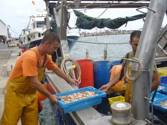 Uns pescadors descarreguen les caixes de peix al port de Sant Carles de la Ràpita. L.M