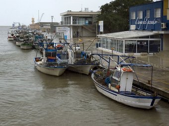 Imatge del port de Gandia amb la flota amarrada. ARXIU