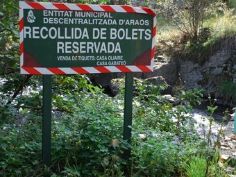 Un dels indicadors que els boletaires es troben a Araós, al Pallars Sobirà, i que obliguen a pagar un tiquet per collir bolets als seus boscos M. LLUVICH / ACN