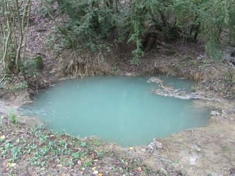 L'estanyol del camí del Camós és el nom que han donat a aquesta concentració d'aigua. J. A. ABELLAN