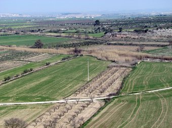 Conreus a la Zona d'Especial Protecció per a les Aus (ZEPA) de Belianes. ACN