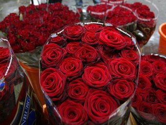Roses al Mercat de la Flor de Vilassar de Mar a punt per ser distribuïdes. QUIM PUIG