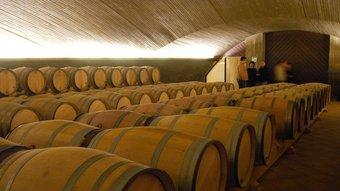 Els cellers d'Álvaro Palacios són un dels símbols de l'enlairada vinícola i econòmica del Priorat R.L