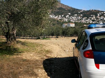 Els Mossos patrullant per una de les finques d'oliveres el voltant de Roses. MANEL LLADÓ