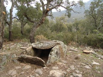 El darrer dolmen que s'ha oficilialitzat a l'Albera i que està situat en el terme municipal de Sant Climent Sescebes. J.P.