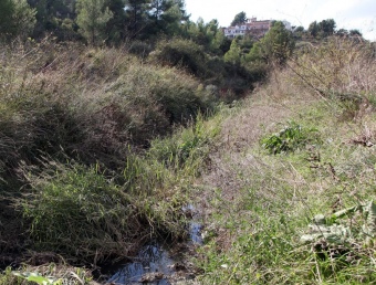 Un tram de la riera de Cantallops a Avinyonet del Penedès, un dels municipis on també es fan abocaments A. PUIG
