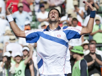 Djokovic, en el millor moment de la seva carrera.  ROTHSTEIN / EFE