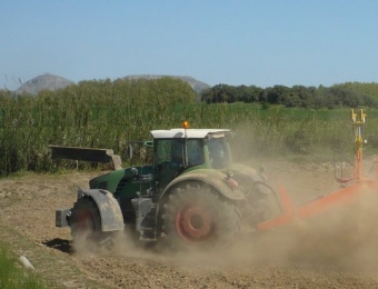 Un tractor llaurant en un camp del parc per plantar-hi arròs, amb el fons de part de la silueta del massís del Montgrí. A.V