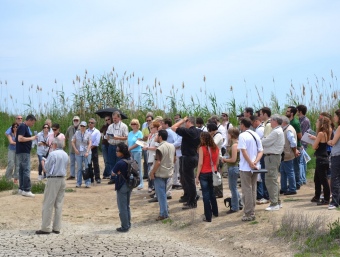 Els participants al Congrés DeltaNet han visitat diversos punts del Delta de l'Ebre per veure les actuacions que s'estan fent per evitar l'enfonsament. IRTA-EA