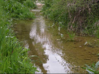 Imatge de la riera de Pontons a Pacs del Penedès. L'aigua en aquest punt ja està contaminada DIPUTACIÓ DE BARCELONA