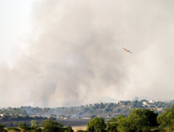 L'incendi entre Santa Margalida i Maria de la Salut està controlat EFE