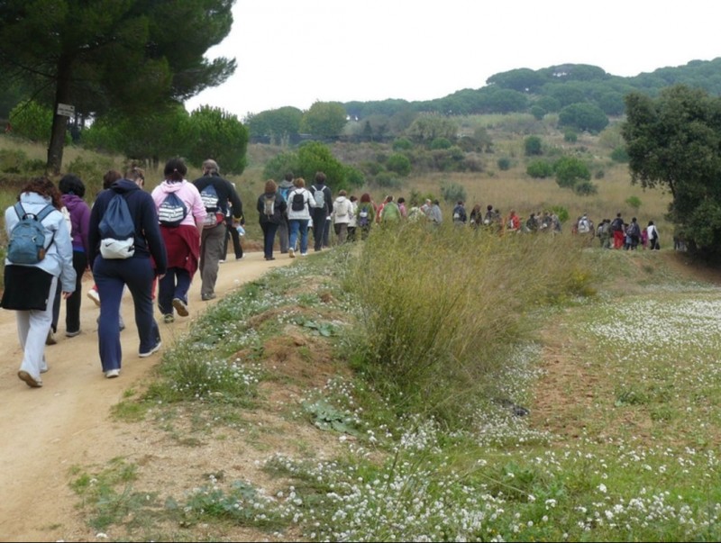 Una de les caminades organitzades per anar fins al veïnat de Sant Jaume de Traià, a Argentona. EL PUNT