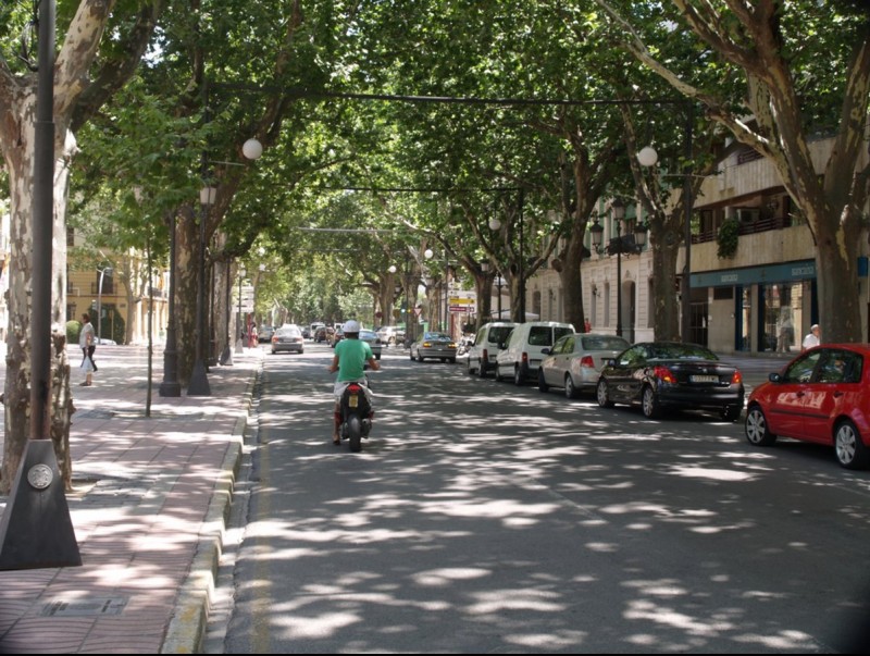 Albereda de Xàtiva, lloc on es concentra la major part de les activitats de la Fira. ESCORCOLL