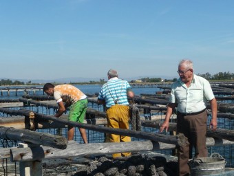 Visita a la musclera  ON EL PROPIETARI EXPLICA EL PROCÉS DE PRODUCCIÓ I ES PODEN DEGUSTAR MUSCLOS ARXIU