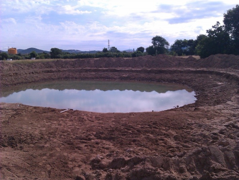 La bassa naturalitzada que s'ha excavat a Palafolls, a tocar del Parc Fluvial de la Tordera. AJ. PALAFOLLS