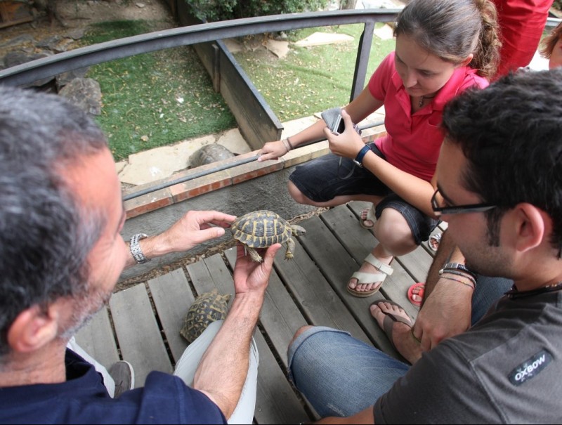 Xavi Capalllera, un dels responsables del centre, mostra algunes tortugues a un grup de visitants al centre de reproducció de l'Albera. LLUÍS SERRAT