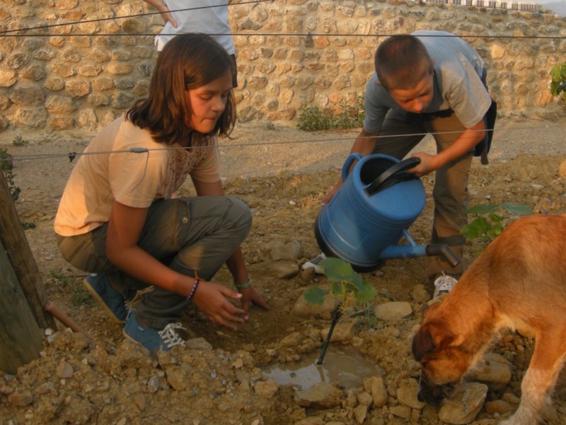 Uns nens plantant un cep.