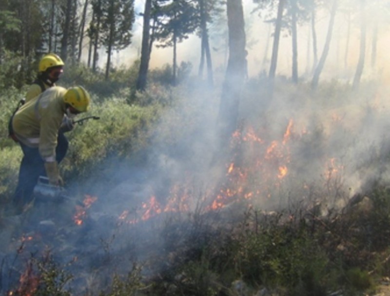 Catalunya activa la fase d'alerta pel risc d'incendis forestals ARXIU