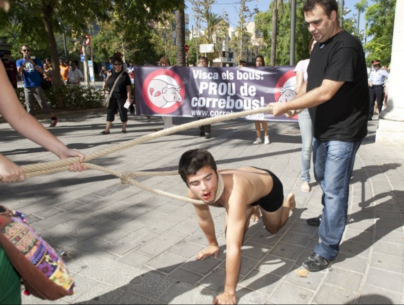 Un activista va simular ser el bou i els altres el van estirar de les cordes. TJERK VAN DER MEULEN