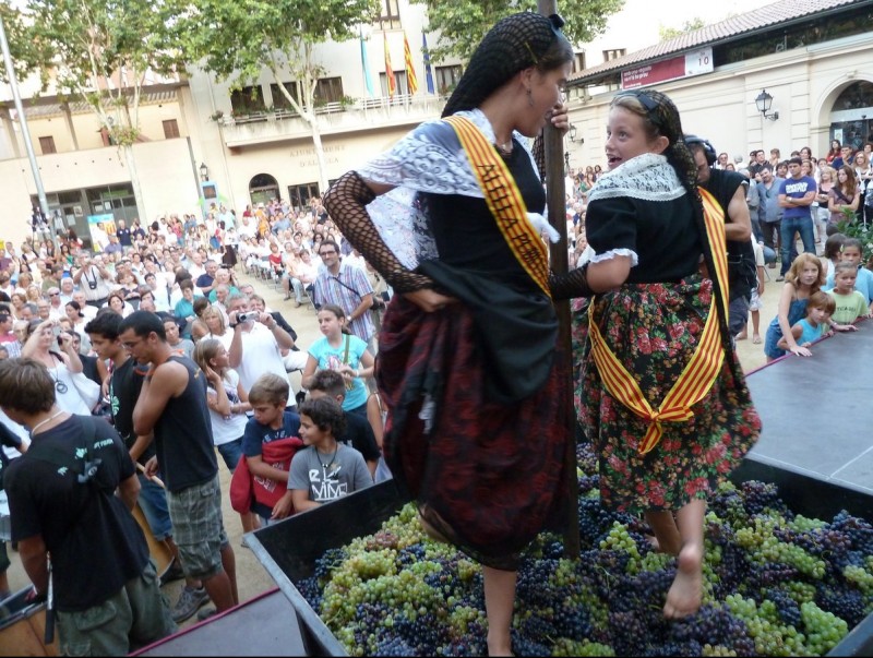 La trepitjada del raïm a càrrec dels hereus i les pubilles, ahir a la tarda a la plaça de l'Ajuntament d'Alella. G.A