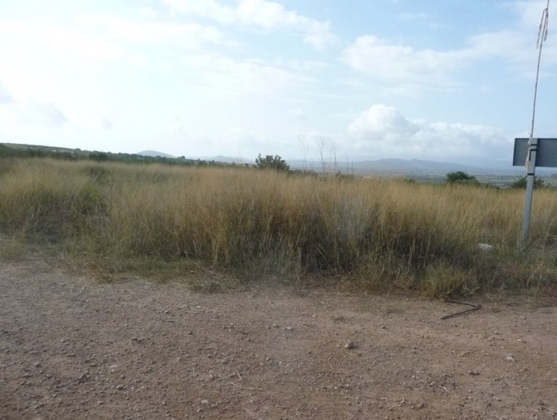 Imatge de terreny farcits de brossa al terme municipal de Dénia. ESCORCOLL