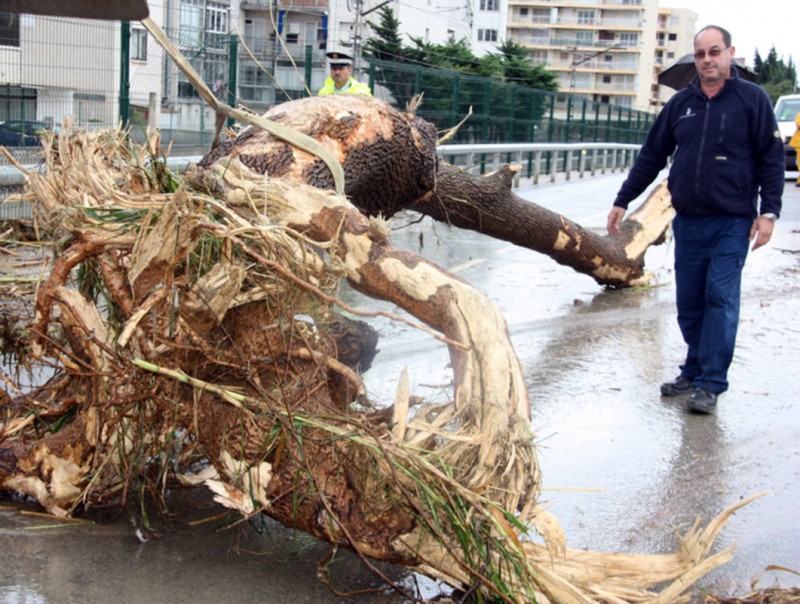 Un Arbre ha estat arrossegat per l'aigua fins a la riera de Barenys a Salou ACN