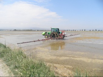 Els tractaments amb saponina es fan amb un tractor o des d'un helicòpter. EL PUNT AVUI