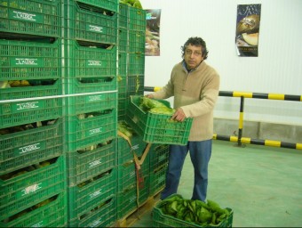 Un treballador de la cooperativa apila les caixes d'enciams. L.M