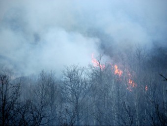 L'incendi que crema a la Vall Fosca, en una imatge d'aquest dilluns MARTA LLUVICH / ACN