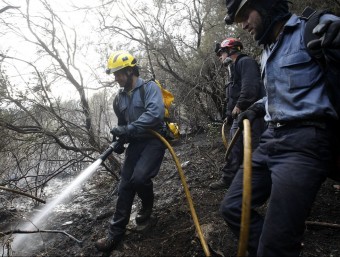 Els bombers treballant a l'incendi d'Osor ahir a la tarda LLUÍS SERRAT
