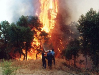 Uns bombers treballen per apagar l'incendi del Bages i del Berguedà del 1994 ARXIU / MIQUEL ANGLARILL