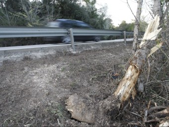 L'arbre contra el que va impactar el cotxe del matrimoni d'Olot. LLUÍS SERRAT