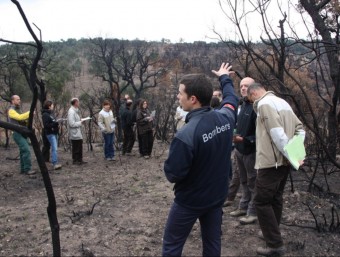 Un grup de bombers i enginyers forestals d'Agricultura, analitzant ahir l'avenç de l'incendi de fa un mes a l'Ardenya ACN