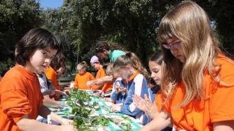 Un moment de la preparació del collage amb fulles que van realitzar ahir els escolars de Figueres en el marc de la Festa de l'arbre. JOAN SABATER