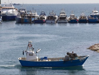 La Confraria no farà més actes de protesta com el bloqueig del port de fa una setmana. JOSÉ CARLOS LEÓN /ARXIU