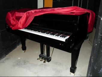El piano del poble d'Amer, que és de cua i va portar cua. N. FORNS