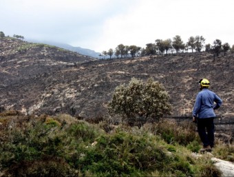 L'incendi de la serra de Cardó i del Boix va cremar una superfície de més de 3.000 hectàrees en tres dies i mig. ACN