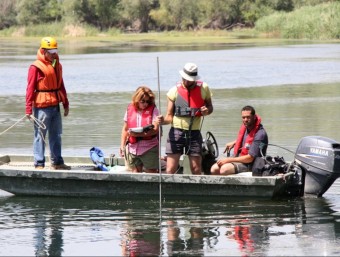 Els tècnics del grup de treball d'Endesa efectuen mesuraments al riu Ebre. ACN