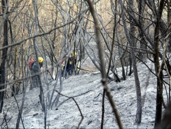 Els efectius dels bombers resseguint el perímetre afectat per les flames al Montseny, on s'ha calcinat una zona on predominaven les alzines i els roures ACN