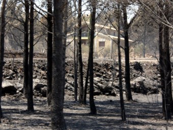 Imatge del bosc calcinat a la zona occidental de l'incendi de l'Alt Empordà, entre Terrades i Boadella ACN