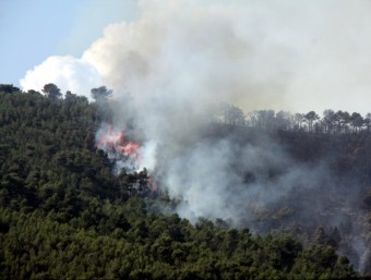 El foc de l'Alt Camp va arribar fins al terme municipal de Pontons, a l'Alt Penedès ROGER SEGURA / ACN