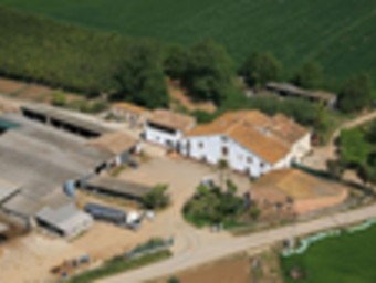 El Mas Bes és una de les explotacions lleteres més grans del municipi de Vilobí. EL PUNT