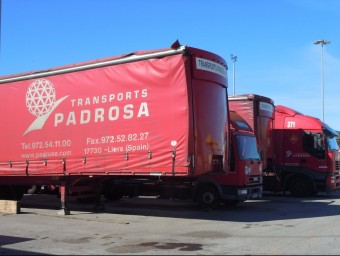 Una part de la flota de camions de Transport Padrosa que ahir ja eren a l'apartament de l'empresa. I.BOSCH
