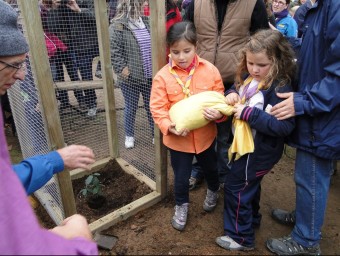 Dues nenes abans de posar la terra en l'espai on s'hi ha plantat el roure clonat que substitueix l'arbre monumental que va caure fa dos anys. T.M